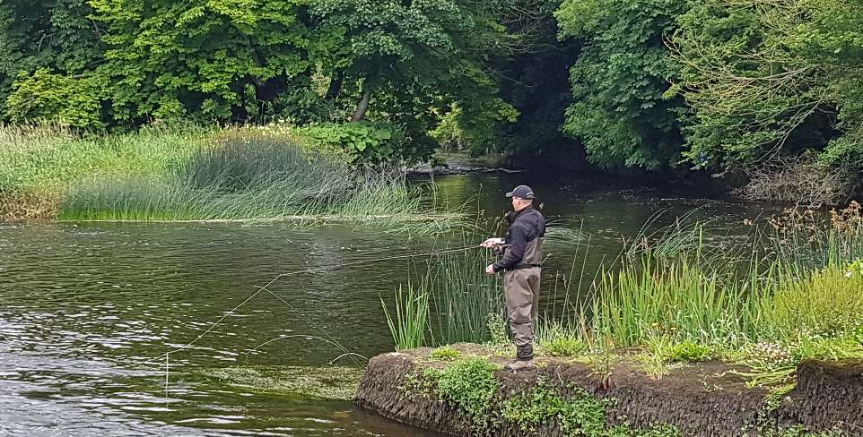 An interesting year for salmon fishing