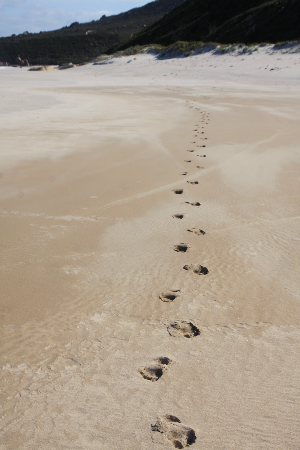 Beach footsteps